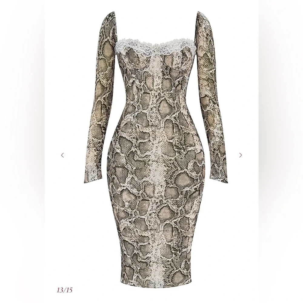 SERAPHINA
Snake Print Corset Dress - Picture 8 of 10